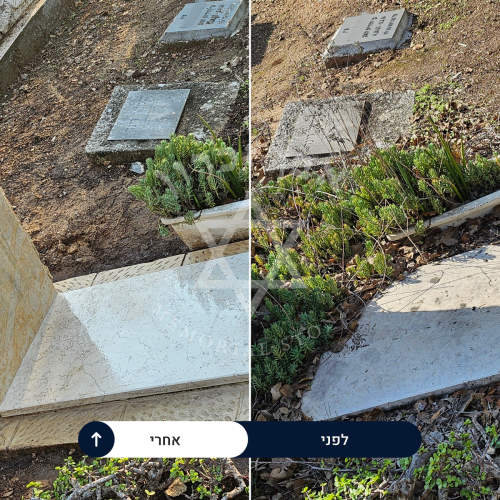 examples of our work