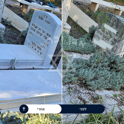 examples of our work