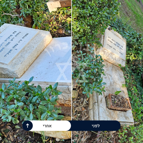 examples of our work