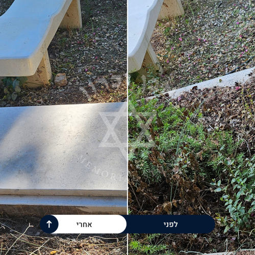 examples of our work
