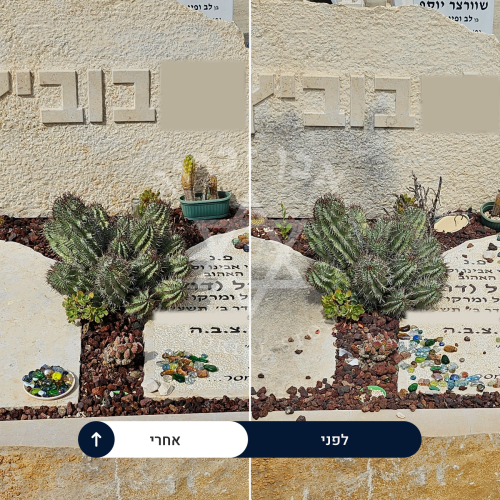 examples of our work