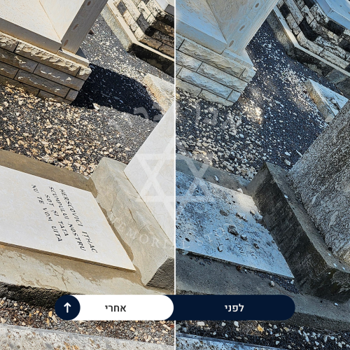 examples of our work